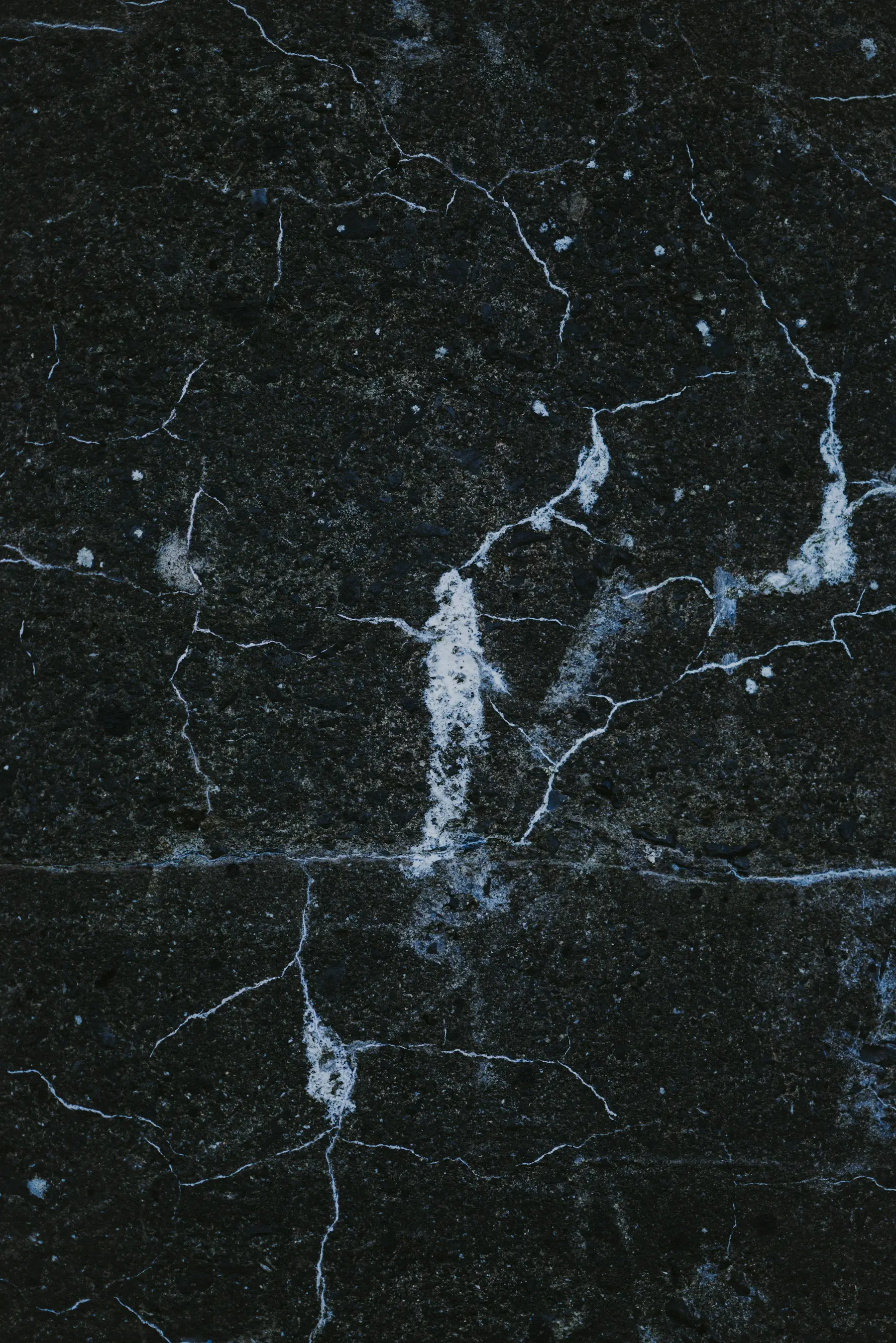 Dark marble slab displays intricate white veining and a textured stone surface.